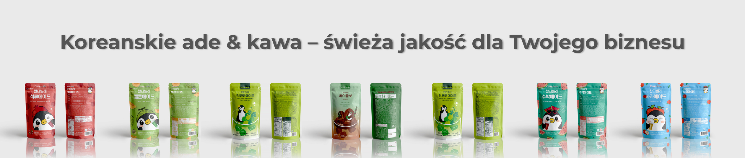 SOWELU baner